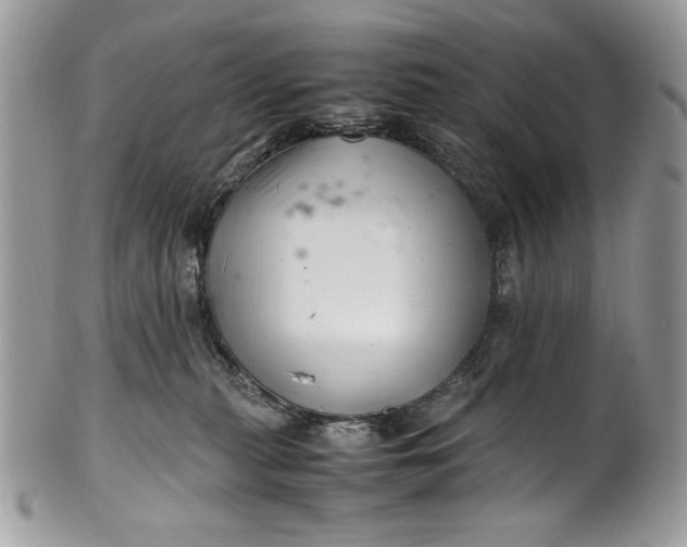 X0000100880279200807071133