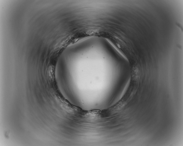 X0000100880280200807071134