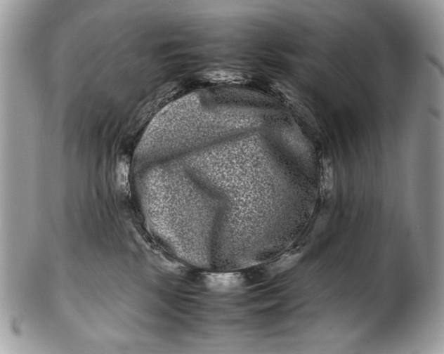 X0000100880281200807071134