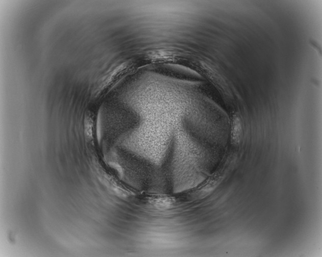 X0000100880282200807071134