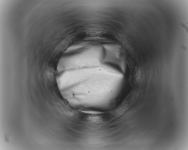 X0000100880283200807071134