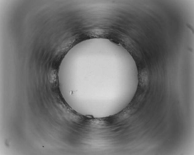 X0000100880284200807071134