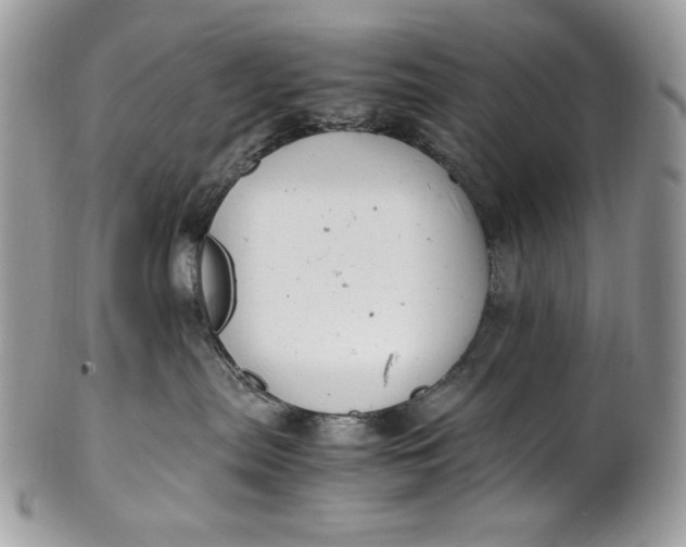 X0000100880287200807071134