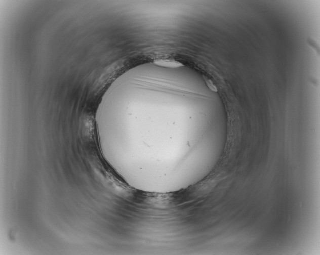 X0000100880288200807071134