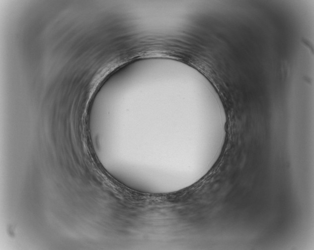 X0000100880289200807071133