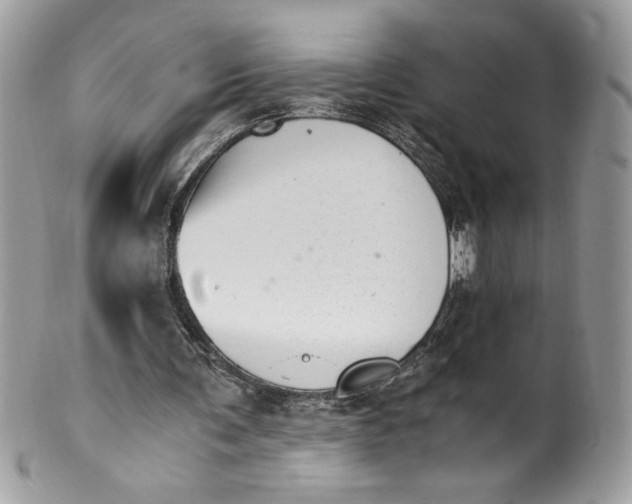 X0000100880291200807071133