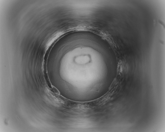 X0000100880292200807071133