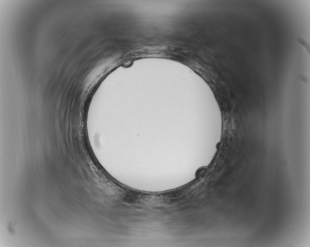 X0000100880293200807071133