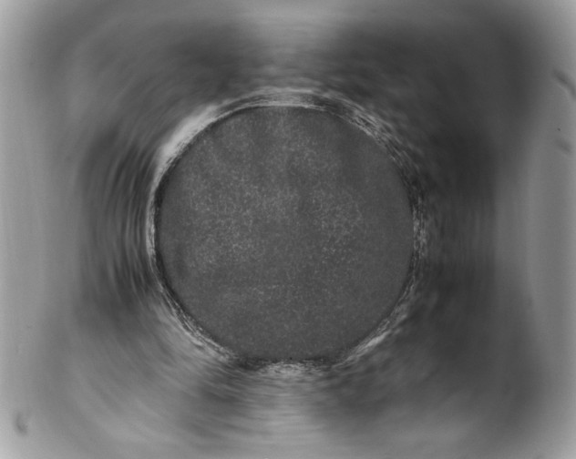 X0000100880294200807071133