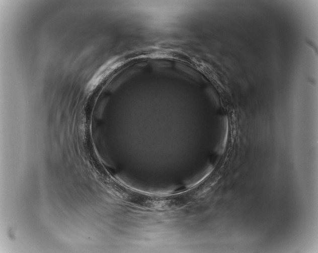 X0000100880295200807071133