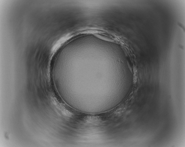 X0000100880296200807071133