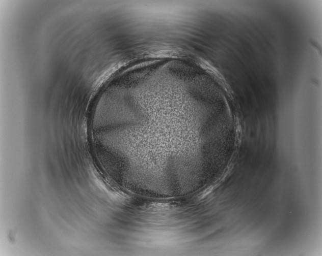 X0000100880298200807071133