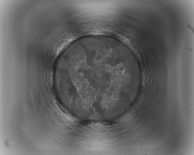 X0000100880299200807071133