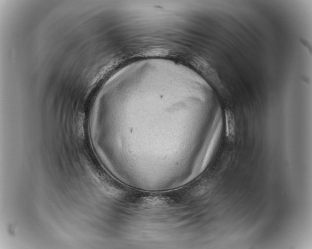 X0000100880300200807071133