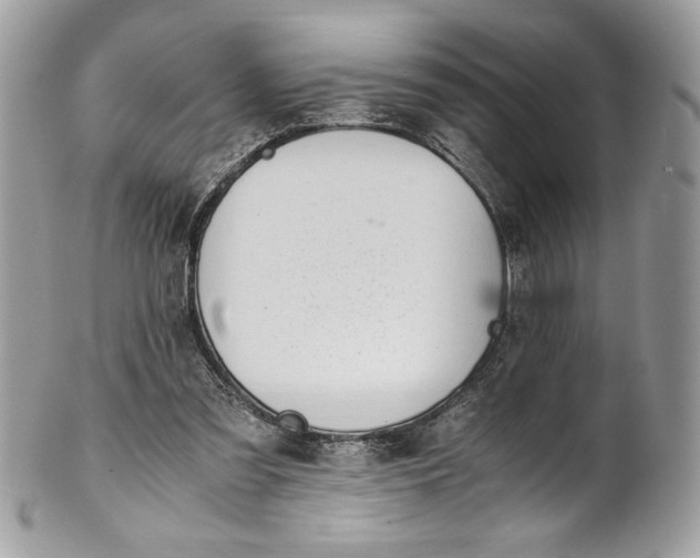 X0000100880301200807071133