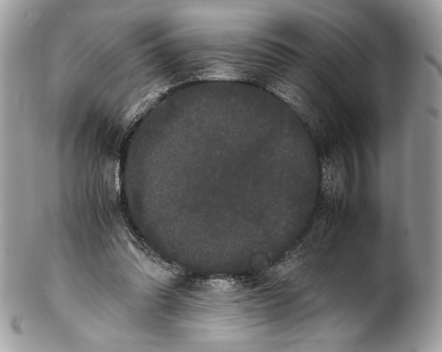 X0000100880302200807071133