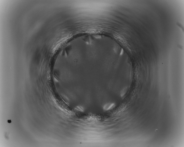 X0000100880303200807071133