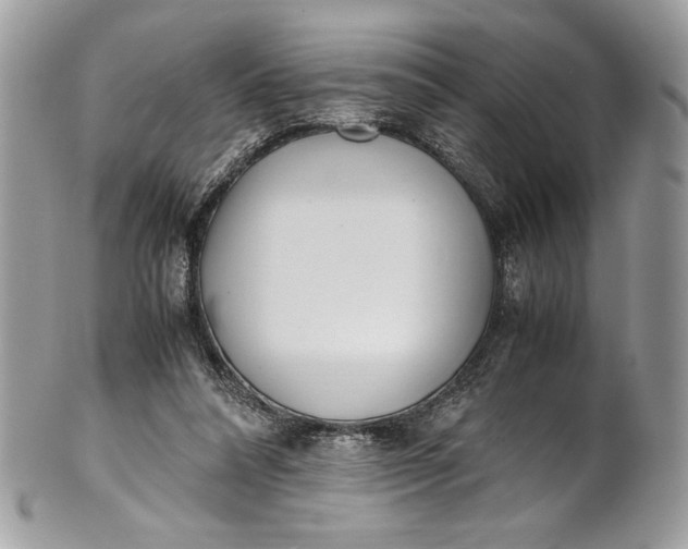 X0000100880304200807071133