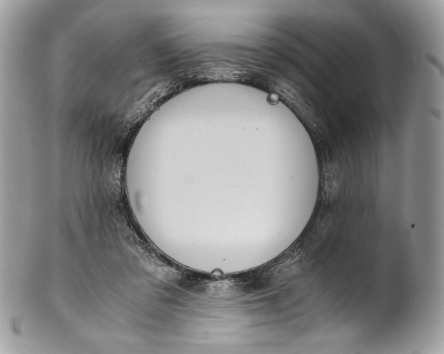 X0000100880309200807071133