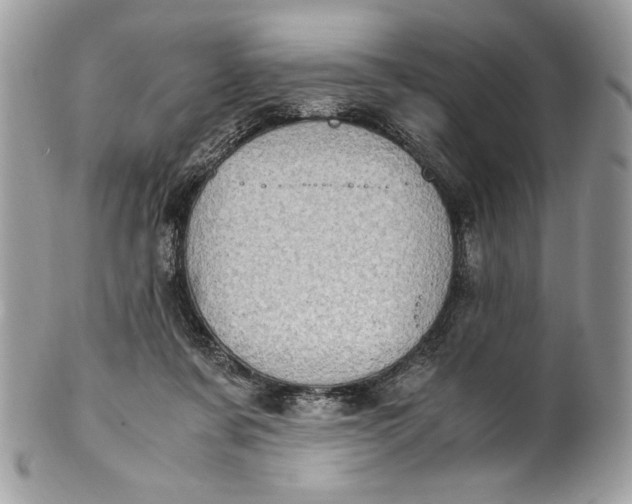 X0000100880311200807071133