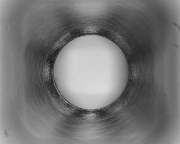 X0000100880312200807071133