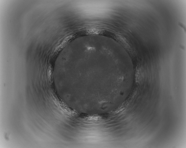 X0000100880314200807071133