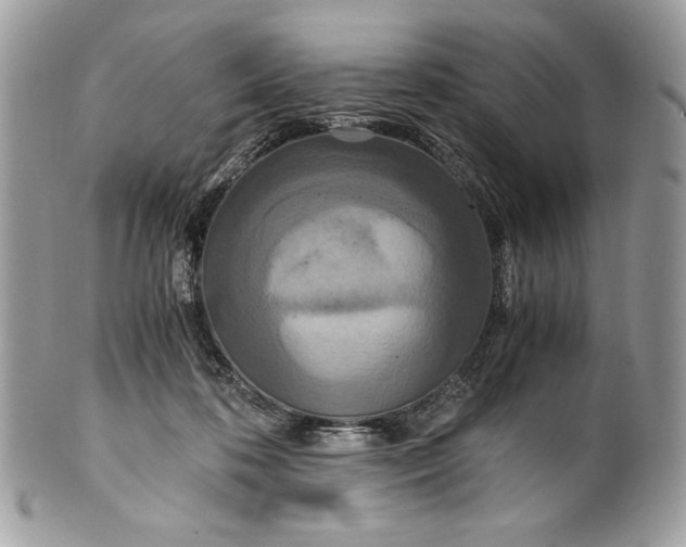 X0000100880316200807071133