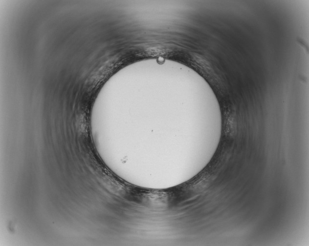 X0000100880317200807071133