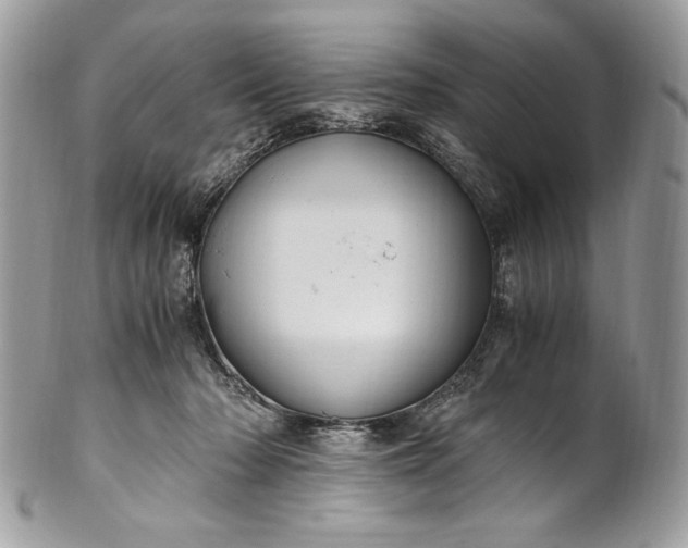 X0000100880318200807071133