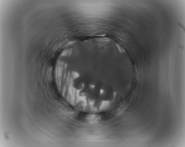 X0000100880319200807071132