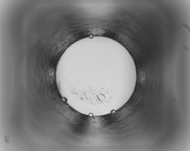 X0000100880321200807071132