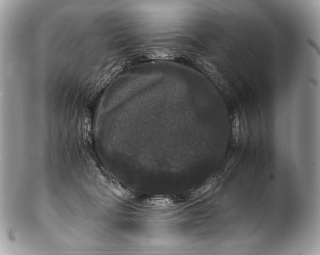 X0000100880322200807071132