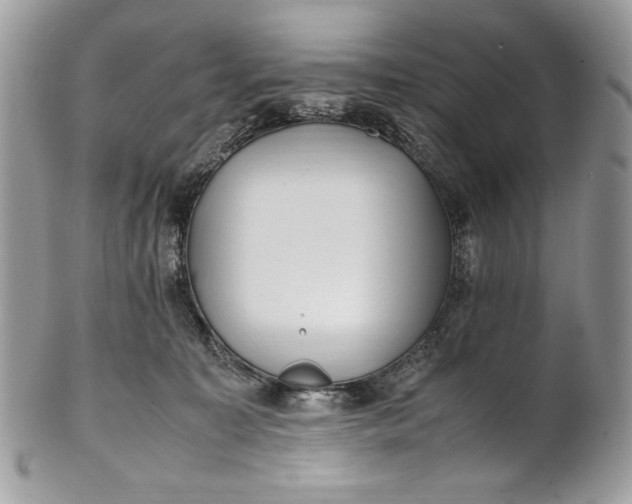 X0000100880323200807071132