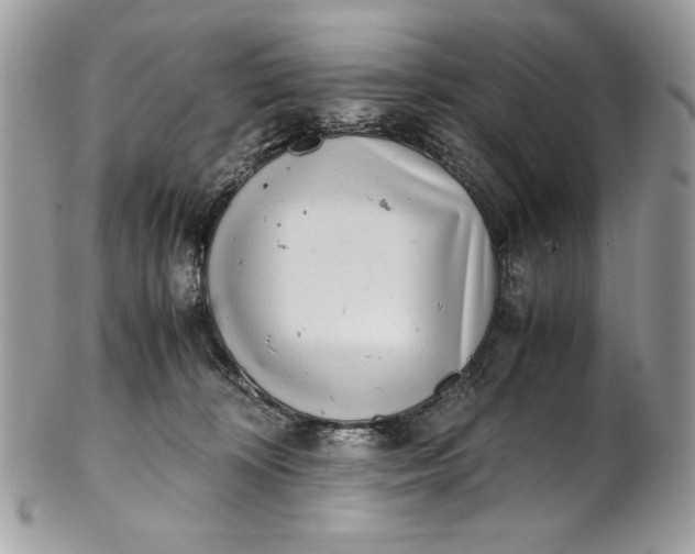 X0000100880324200807071132