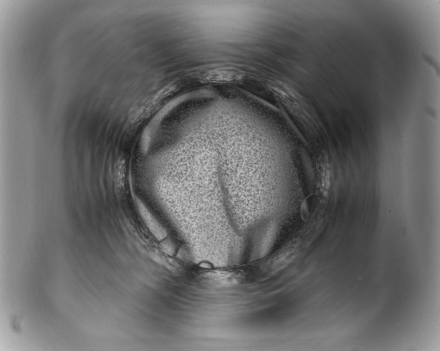 X0000100880326200807071132