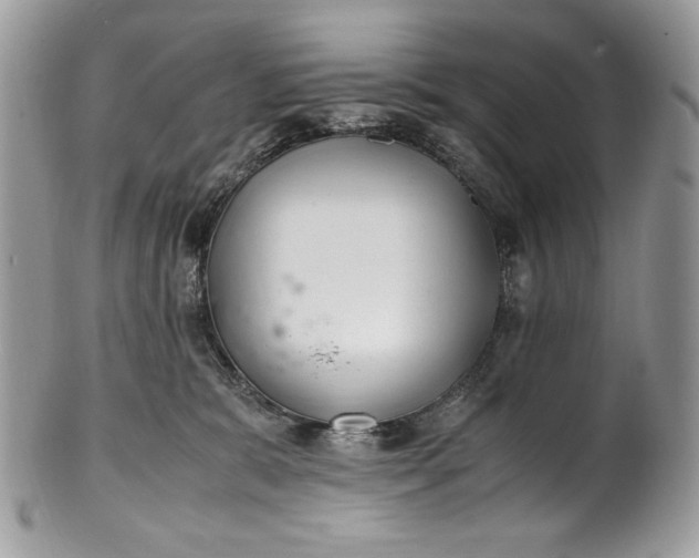 X0000100880327200807071132