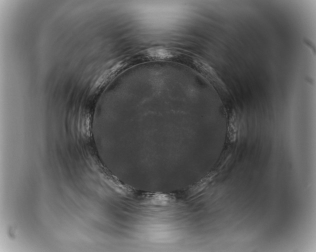 X0000100880330200807071132