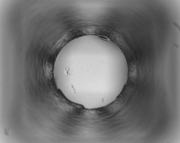 X0000100880332200807071132