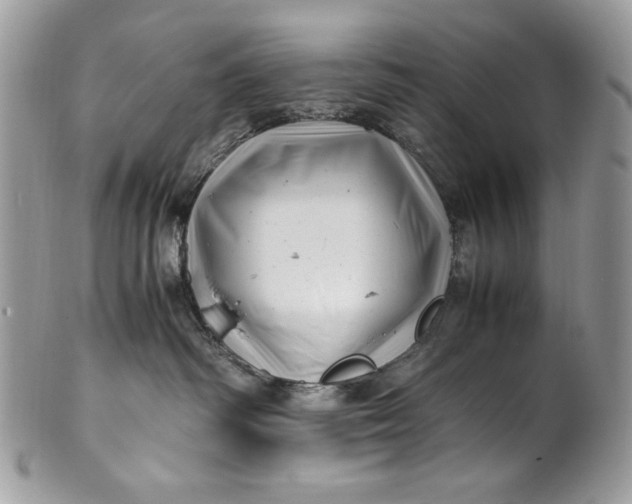 X0000100880334200807071132