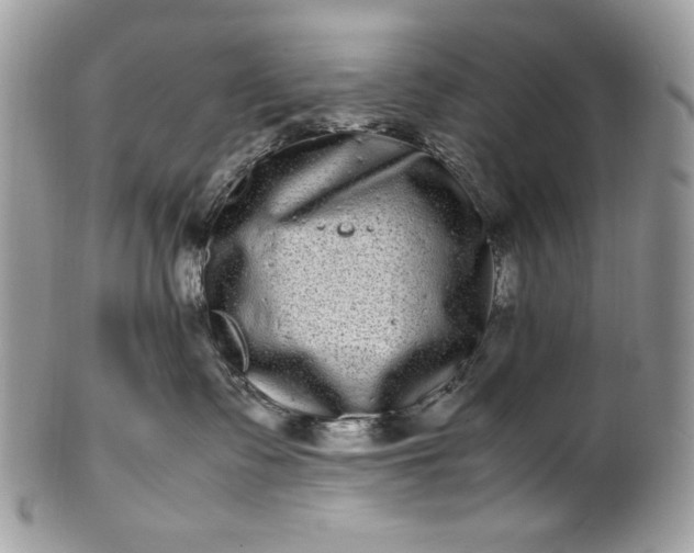 X0000100880335200807071132