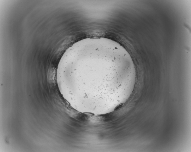 X0000100880336200807071132