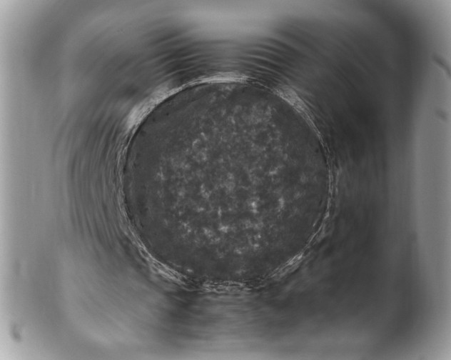 X0000100880337200807071132