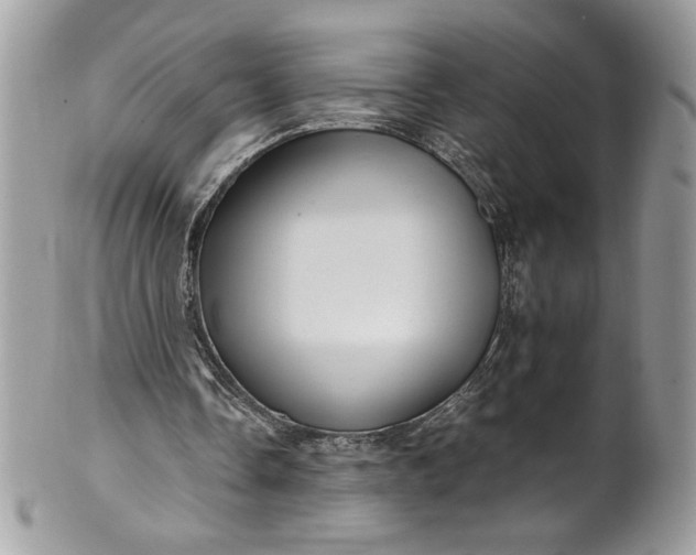 X0000100880338200807071132