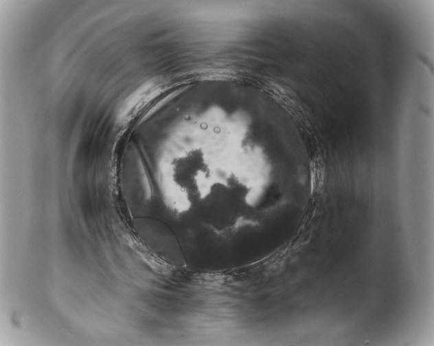 X0000100880339200807071132