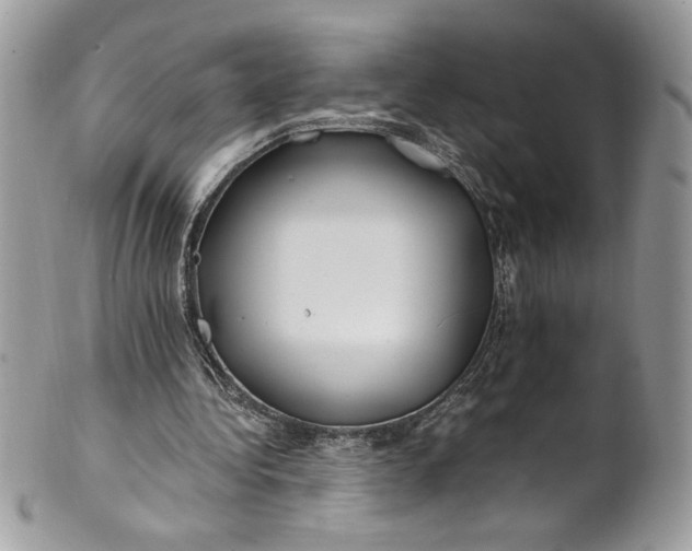 X0000100880340200807071132