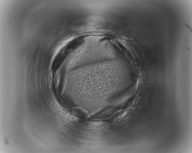 X0000100880342200807071132