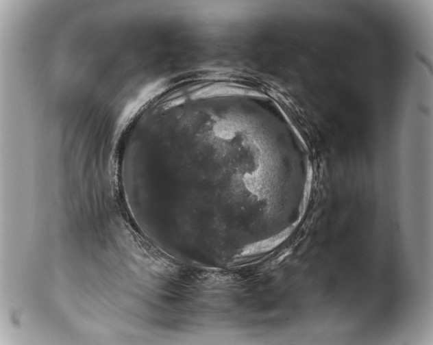 X0000100880343200807071132