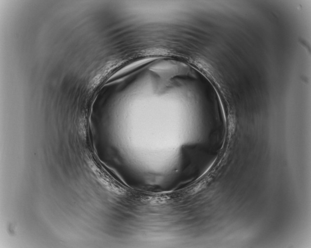 X0000100880345200807071132