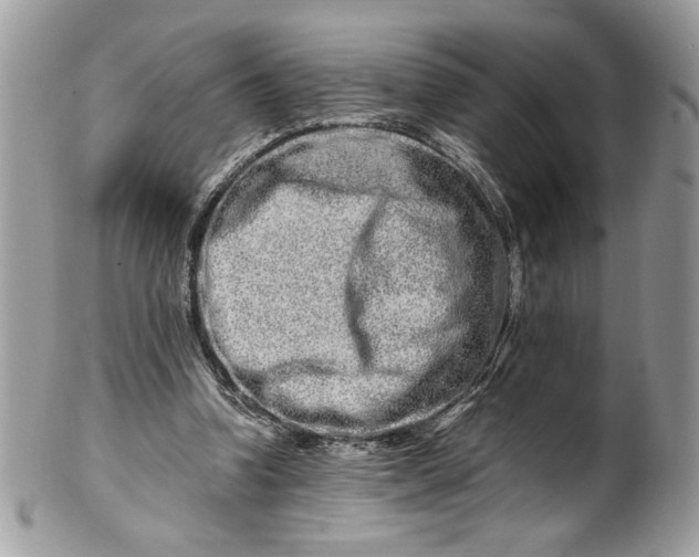 X0000100880346200807071132