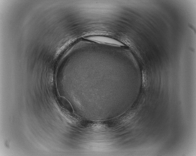 X0000100880348200807071132